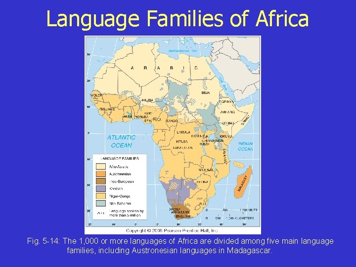 Language Families of Africa Fig. 5 -14: The 1, 000 or more languages of