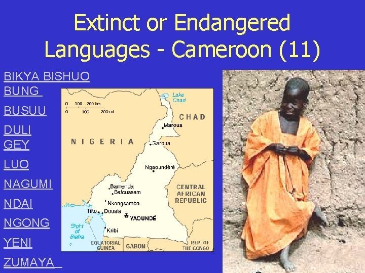Extinct or Endangered Languages - Cameroon (11) BIKYA BISHUO BUNG BUSUU DULI GEY LUO