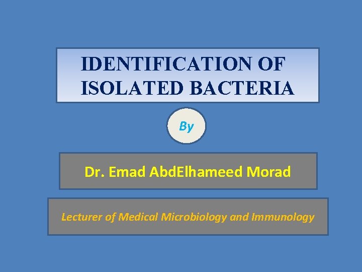 IDENTIFICATION OF ISOLATED BACTERIA By Dr. Emad Abd. Elhameed Morad Lecturer of Medical Microbiology