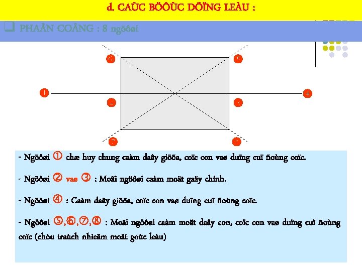 d. CAÙC BÖÔÙC DÖÏNG LEÀU : q PHA N CO NG : 8 ngöôøi