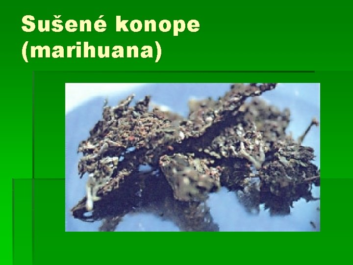 Sušené konope (marihuana) 