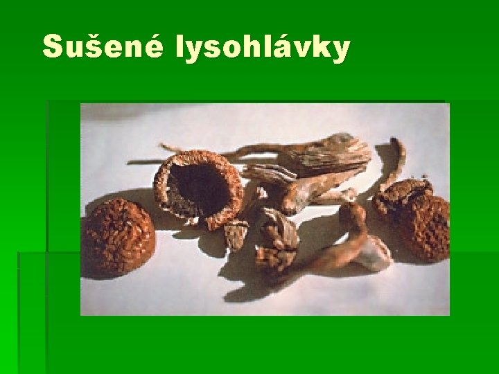 Sušené lysohlávky 