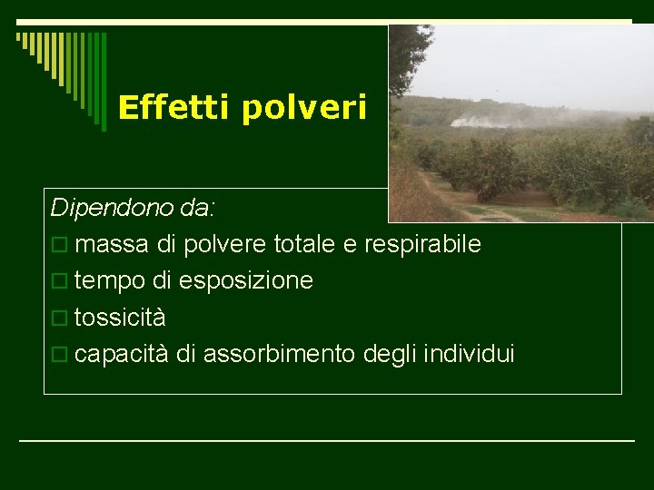 Effetti polveri Dipendono da: o massa di polvere totale e respirabile o tempo di