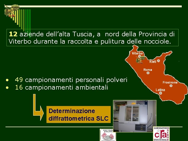 12 aziende dell’alta Tuscia, a nord della Provincia di Viterbo durante la raccolta e