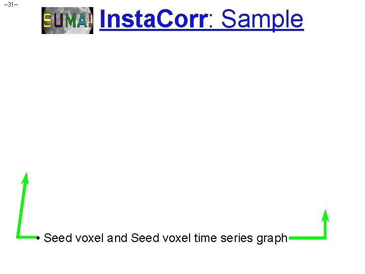 – 31– Insta. Corr: Sample • Seed voxel and Seed voxel time series graph