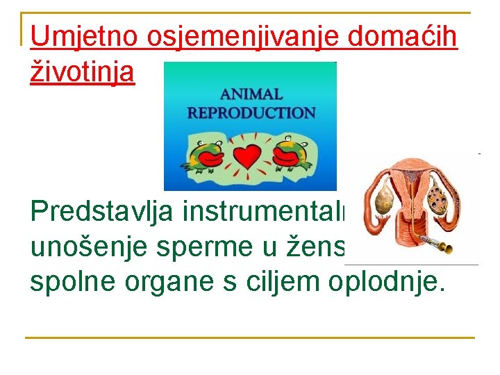 Umjetno osjemenjivanje domaćih životinja Predstavlja instrumentalno unošenje sperme u ženske spolne organe s ciljem