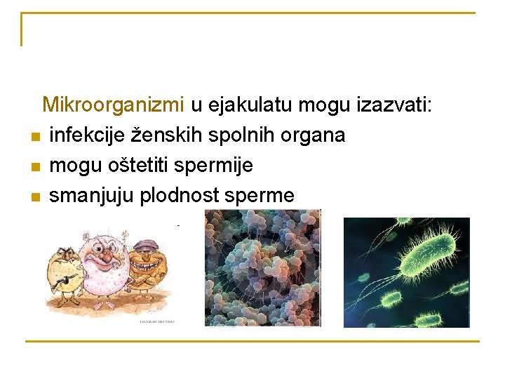 Mikroorganizmi u ejakulatu mogu izazvati: n infekcije ženskih spolnih organa n mogu oštetiti spermije