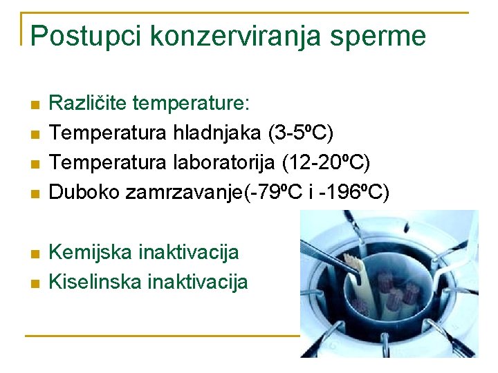 Postupci konzerviranja sperme n n n Različite temperature: Temperatura hladnjaka (3 -5ºC) Temperatura laboratorija