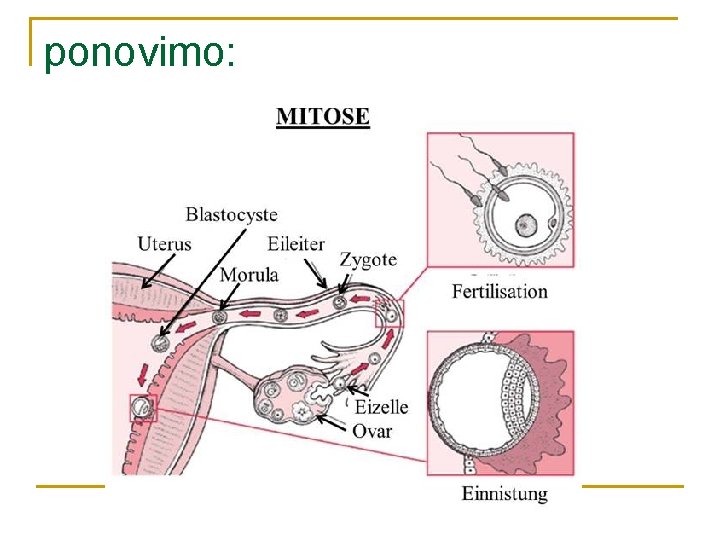 ponovimo: 