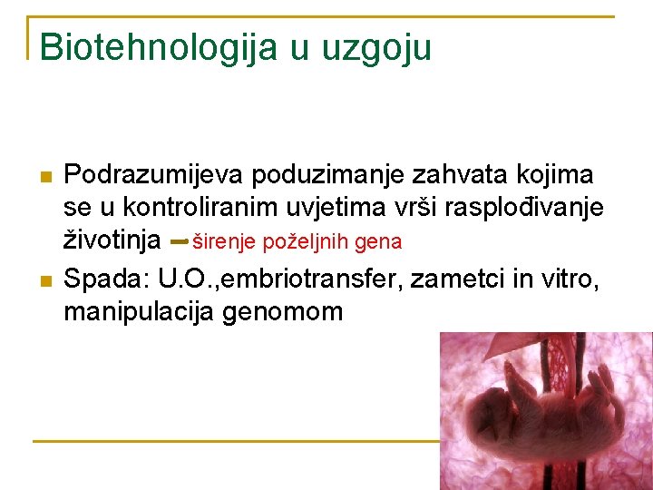 Biotehnologija u uzgoju n n Podrazumijeva poduzimanje zahvata kojima se u kontroliranim uvjetima vrši