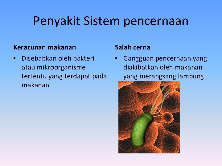 Penyakit Sistem pencernaan Keracunan makanan Salah cerna • Disebabkan oleh bakteri atau mikroorganisme tertentu