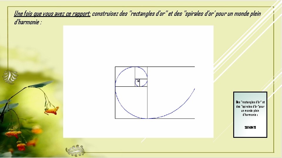 Une fois que vous avez ce rapport: construisez des "rectangles d'or" et des "spirales