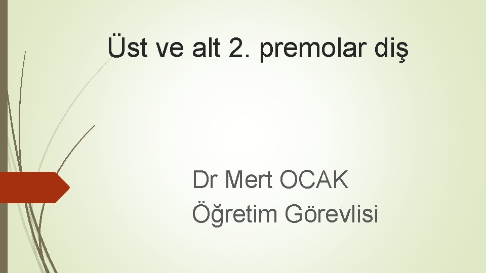 Üst ve alt 2. premolar diş Dr Mert OCAK Öğretim Görevlisi Üst ve alt 2. premolar diş Dr Mert OCAK Öğretim Görevlisi