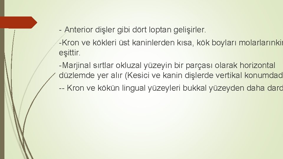 - Anterior dişler gibi dört loptan gelişirler. -Kron ve kökleri üst kaninlerden kısa, kök - Anterior dişler gibi dört loptan gelişirler. -Kron ve kökleri üst kaninlerden kısa, kök