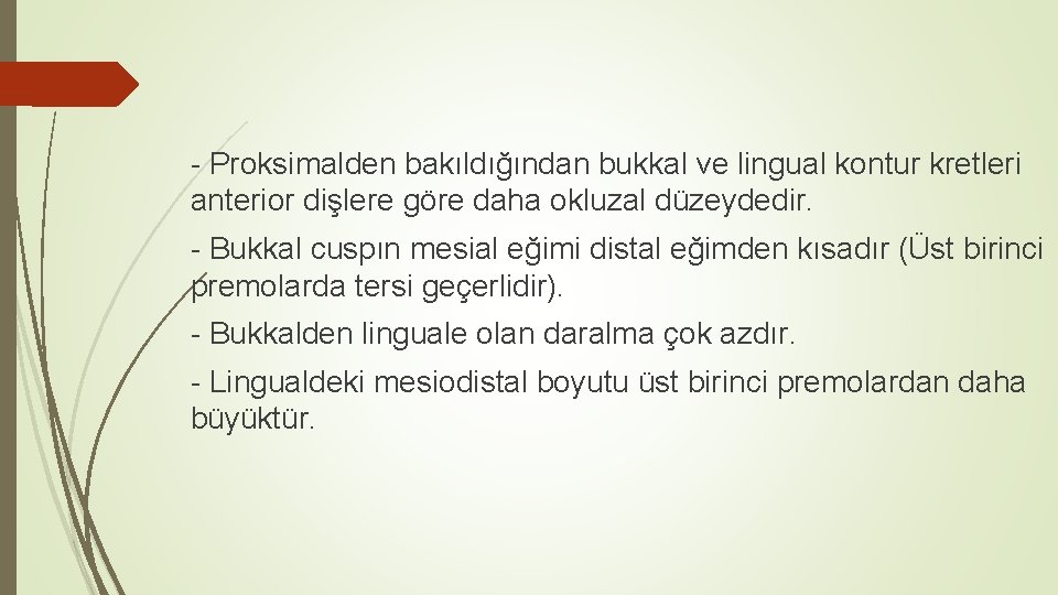 - Proksimalden bakıldığından bukkal ve lingual kontur kretleri anterior dişlere göre daha okluzal düzeydedir. - Proksimalden bakıldığından bukkal ve lingual kontur kretleri anterior dişlere göre daha okluzal düzeydedir.