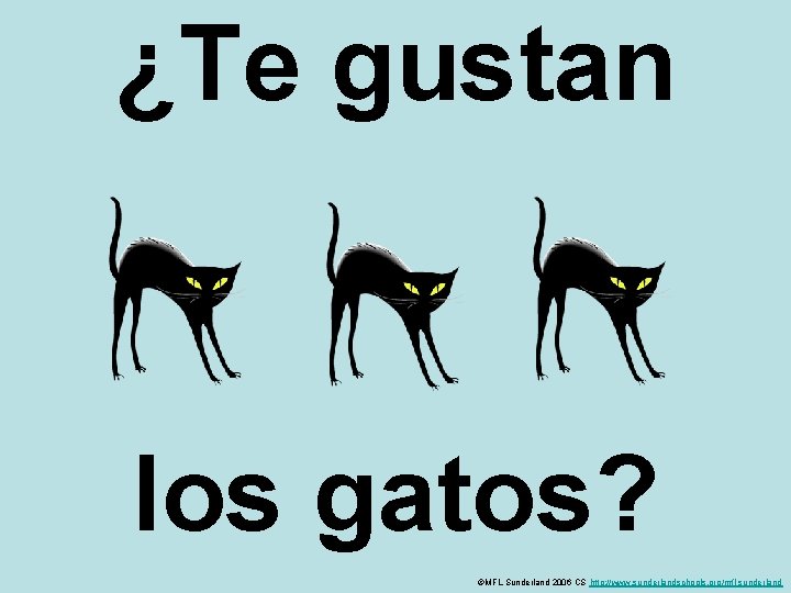 ¿Te gustan los gatos? ©MFL Sunderland 2006 CS http: //www. sunderlandschools. org/mfl-sunderland 