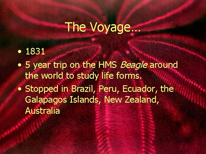 The Voyage… • 1831 • 5 year trip on the HMS Beagle around the