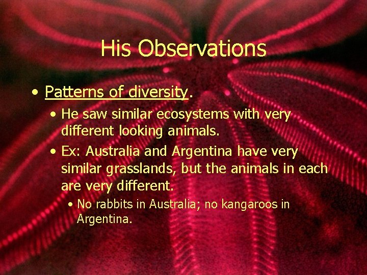 His Observations • Patterns of diversity. • He saw similar ecosystems with very different