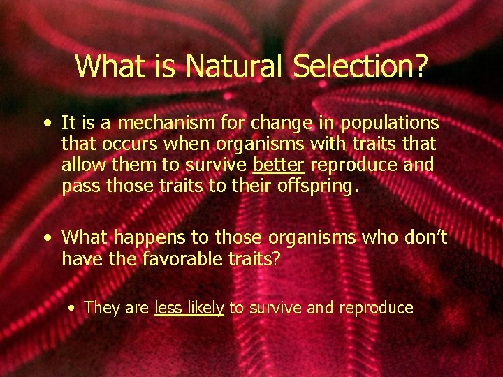 What is Natural Selection? • It is a mechanism for change in populations that