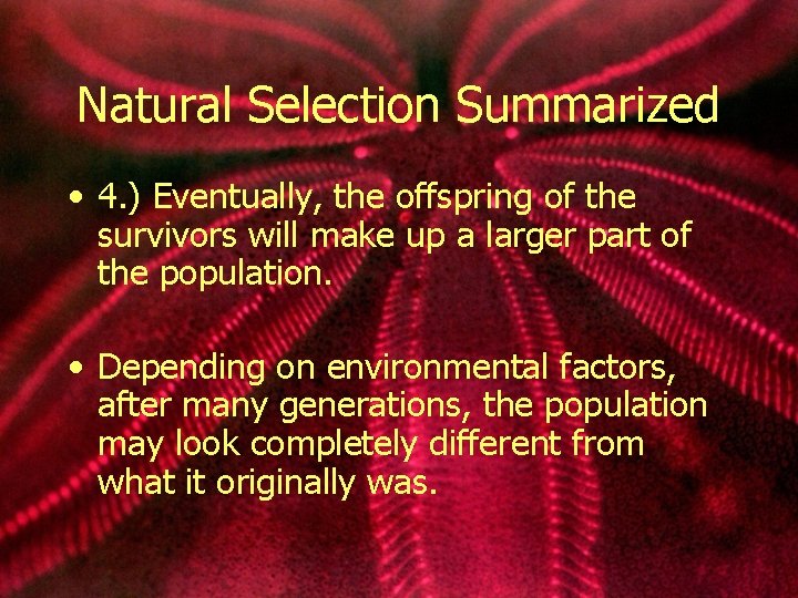 Natural Selection Summarized • 4. ) Eventually, the offspring of the survivors will make
