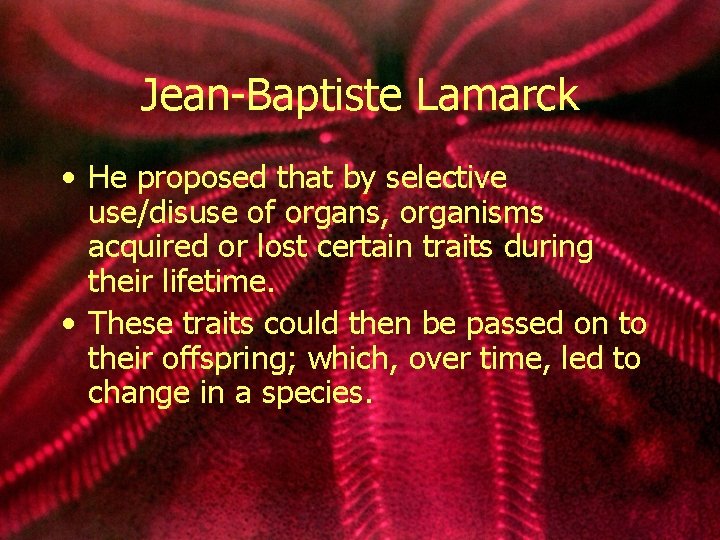Jean-Baptiste Lamarck • He proposed that by selective use/disuse of organs, organisms acquired or