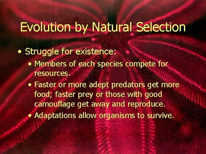 Evolution by Natural Selection • Struggle for existence: • Members of each species compete