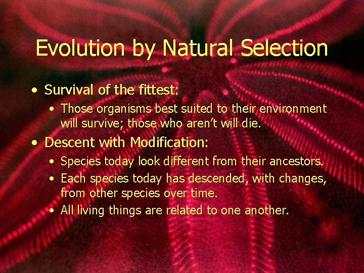 Evolution by Natural Selection • Survival of the fittest: • Those organisms best suited