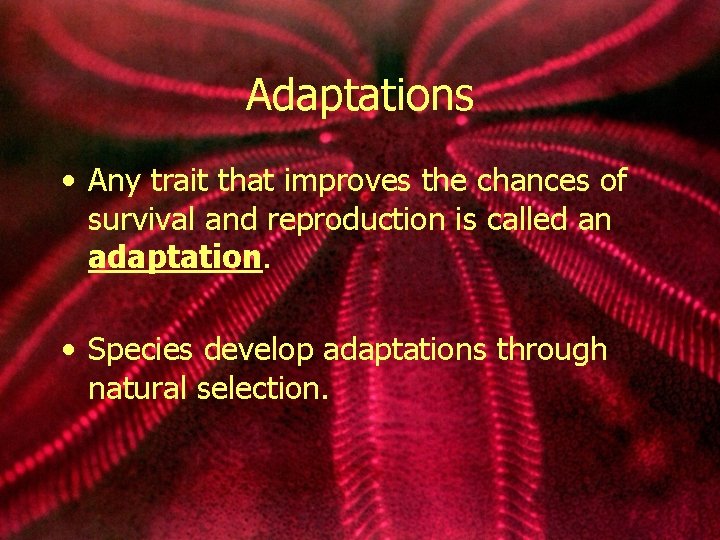 Adaptations • Any trait that improves the chances of survival and reproduction is called