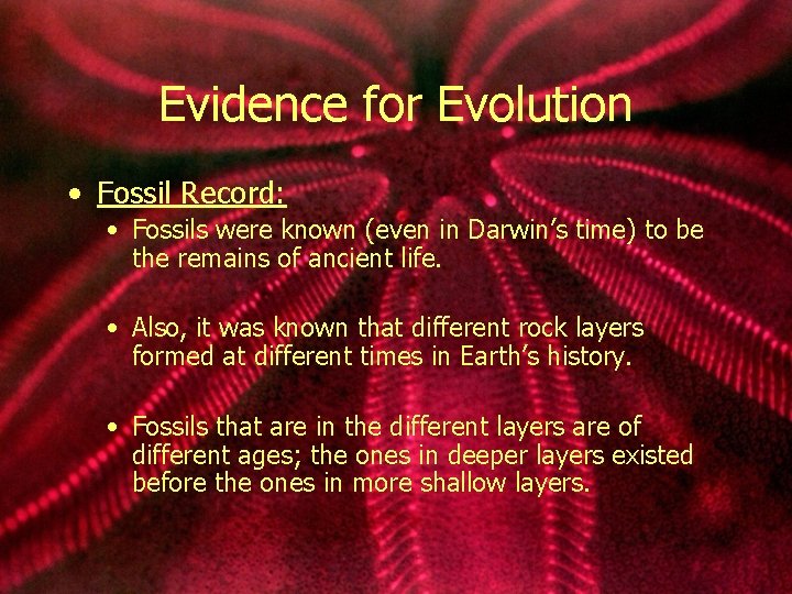 Evidence for Evolution • Fossil Record: • Fossils were known (even in Darwin’s time)