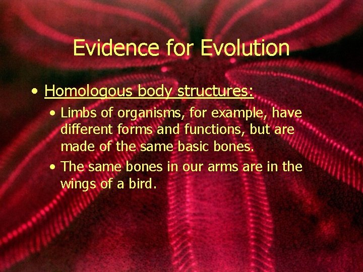 Evidence for Evolution • Homologous body structures: • Limbs of organisms, for example, have