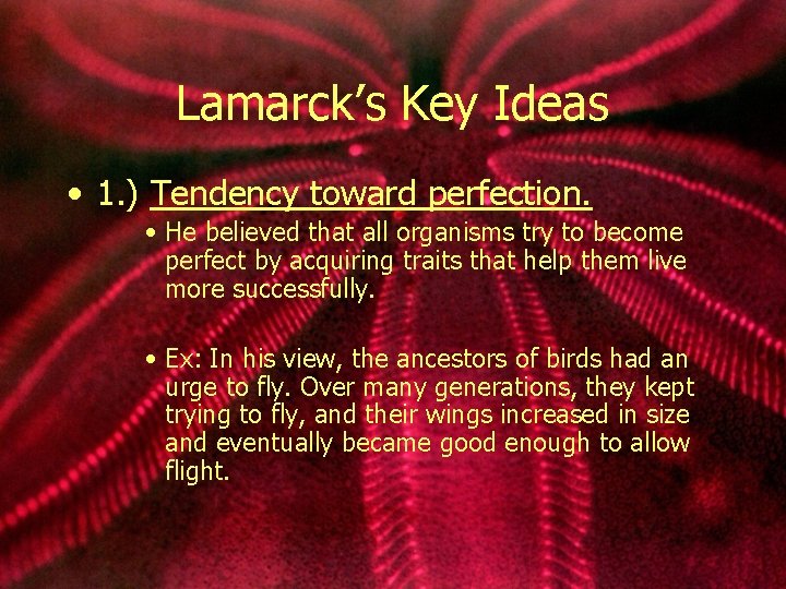 Lamarck’s Key Ideas • 1. ) Tendency toward perfection. • He believed that all
