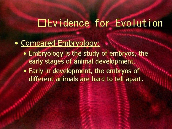 �Evidence for Evolution • Compared Embryology: • Embryology is the study of embryos, the