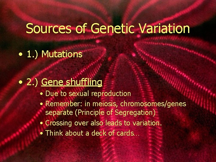 Sources of Genetic Variation • 1. ) Mutations • 2. ) Gene shuffling •