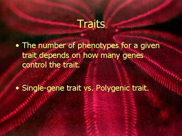 Traits • The number of phenotypes for a given trait depends on how many