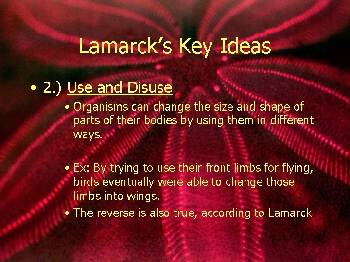 Lamarck’s Key Ideas • 2. ) Use and Disuse • Organisms can change the