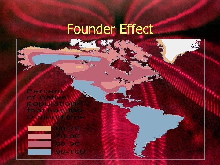 Founder Effect 