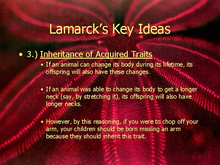 Lamarck’s Key Ideas • 3. ) Inheritance of Acquired Traits • If an animal