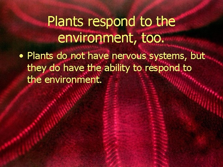 Plants respond to the environment, too. • Plants do not have nervous systems, but
