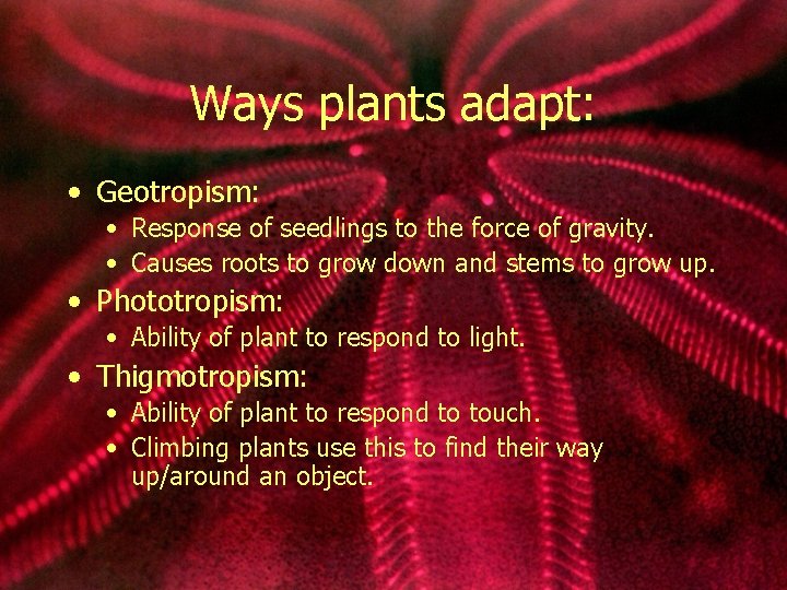 Ways plants adapt: • Geotropism: • Response of seedlings to the force of gravity.