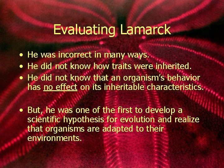 Evaluating Lamarck • He was incorrect in many ways. • He did not know
