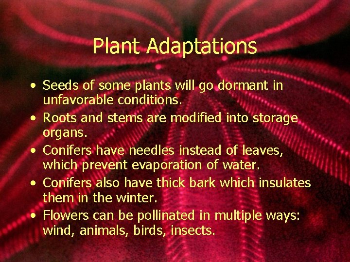 Plant Adaptations • Seeds of some plants will go dormant in unfavorable conditions. •