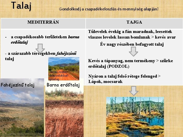 Talaj Gondolkodj a csapadékeloszlás és mennyiség alapján! MEDITERRÁN - a csapadékosabb területeken barna erdőtalaj