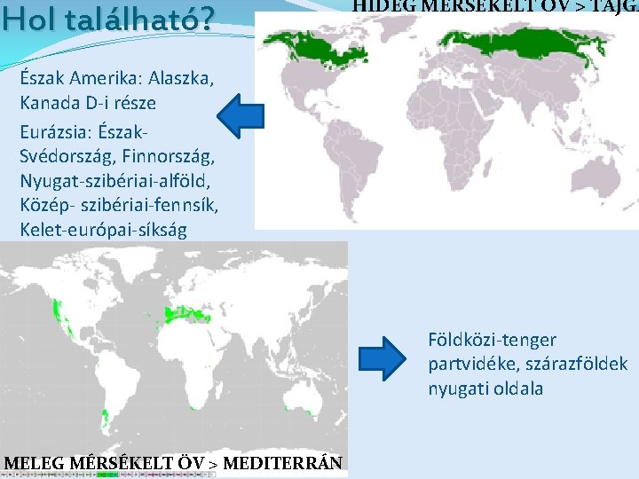 Hol található? HIDEG MÉRSÉKELT ÖV > TAJGA Észak Amerika: Alaszka, Kanada D-i része Eurázsia: