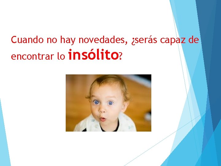 Cuando no hay novedades, ¿serás capaz de encontrar lo insólito? 