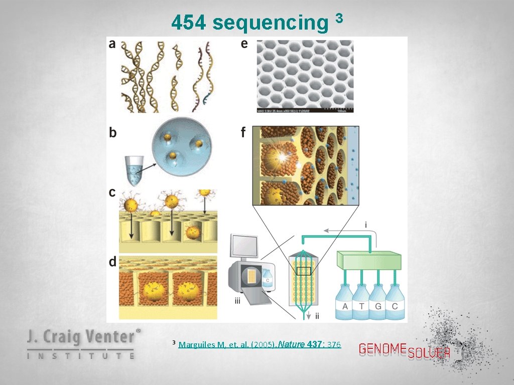 454 sequencing 3 3 Marguiles M, et. al. (2005). Nature 437: 376 