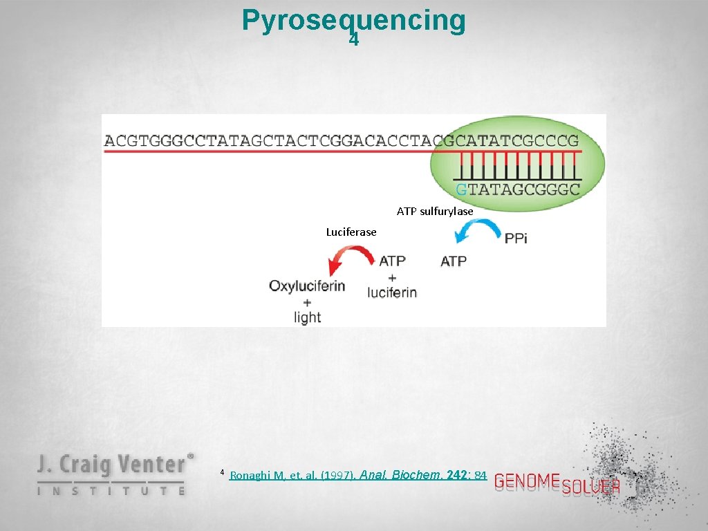 Pyrosequencing 4 ATP sulfurylase Luciferase 4 Ronaghi M, et. al. (1997). Anal. Biochem. 242: