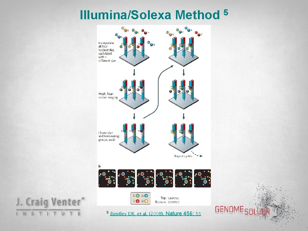 Illumina/Solexa Method 5 Bentley DR, et al. (2008). Nature 456: 53 5 