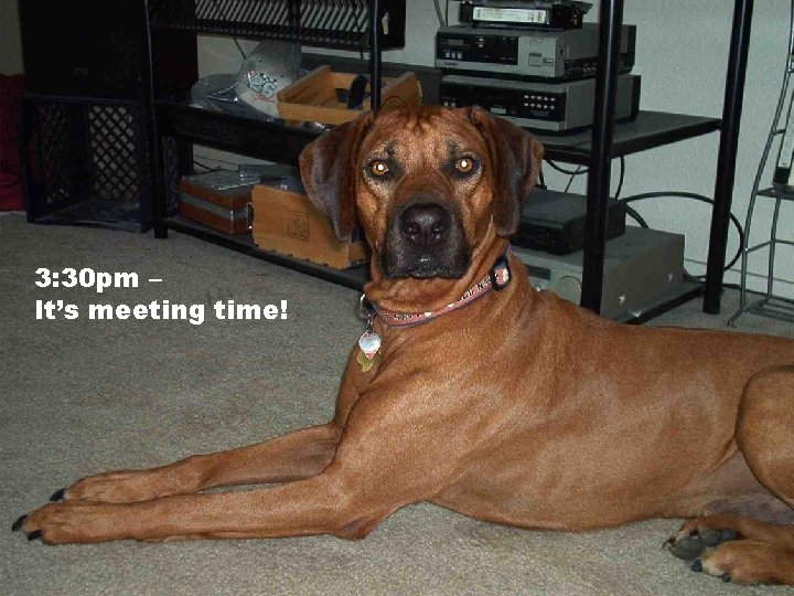 3: 30 pm – It’s meeting time! 