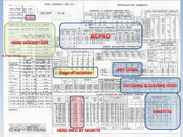 HERD DESCRIPTION REPRO Milk lbs, milking cows Stage of lactation DRY COWS ENTERING &