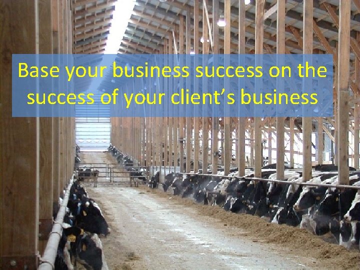 Base your business success on the success of your client’s business 